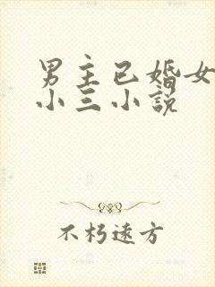 男主已婚女主是小三小说封面