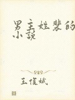 男主姓裴的所有小说封面