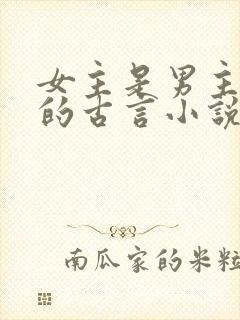 女主是男主下属的古言小说封面