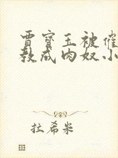 贾宝玉被催眠调教成肉奴小说