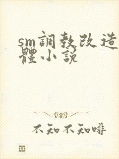 sm调教改造身体小说
