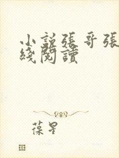 小说张哥张妍在线阅读