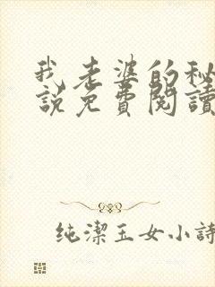 我老婆的秘密小说免费阅读