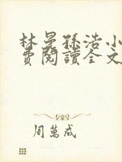 林曼孙浩小说免费阅读全文最新章节