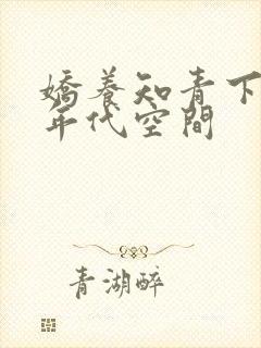 娇养知青下乡的年代空间