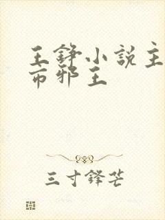 王铮小说主角都市邪王