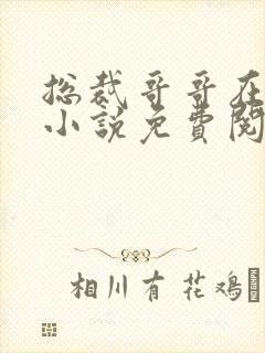 总裁哥哥在上的小说免费阅读无弹窗