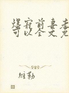 爆宠前妻老公不可以全文免费阅读