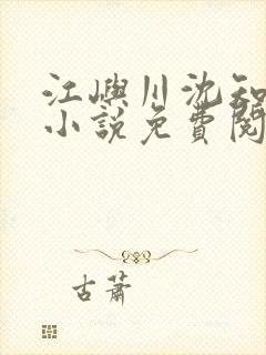 江屿川沈知意的小说免费阅读下载封面