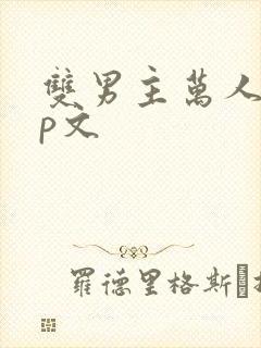 双男主万人迷np文