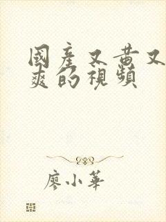 国产又黄又色又爽的视频