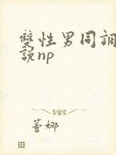 双性男同调教小说np