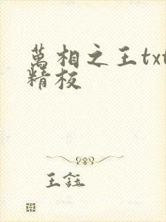 万相之王txt精校