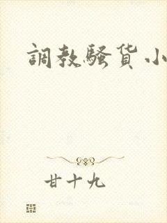 调教骚货小母狗封面