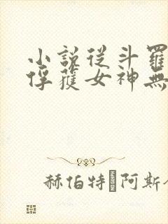 小说从斗罗开始俘获女神无弹窗