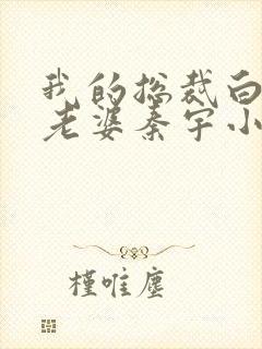 我的总裁白富美老婆秦宇小说正版