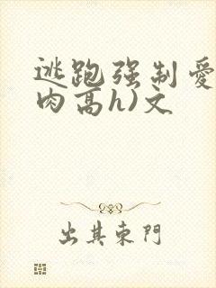 逃跑强制爱(巨肉高h)文