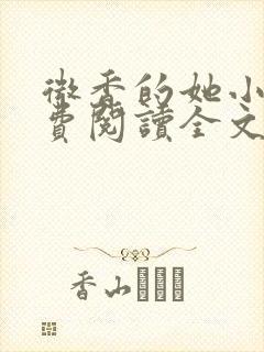 微香的她小说免费阅读全文无弹窗封面