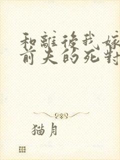 和离后我嫁给了前夫的死对头