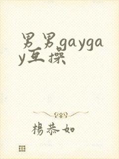 男男gaygay互操