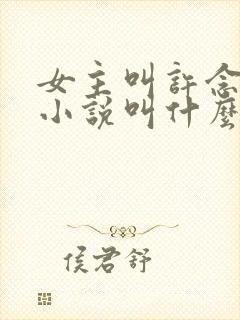 女主叫许念这本小说叫什么