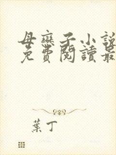 母恋子小说全文免费阅读最新章节