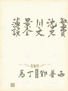 薄景川沈繁星小说全文免费阅读