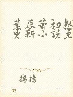 叶辰萧初然最新更新小说免费阅读封面