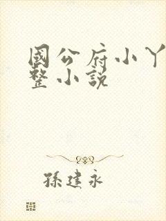 国公府小丫鬟完整小说