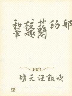 和校花的那一夜笔趣阁