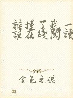 谁摸了我一下小说在线阅读