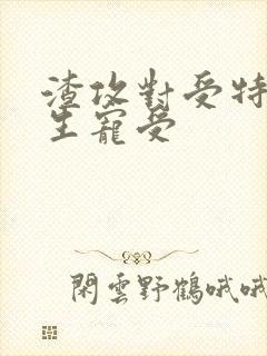 渣攻对受特坏重生宠受