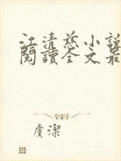 江清慈小说免费阅读全文最新章节封面