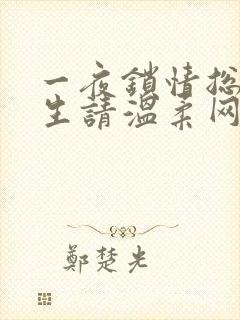 一夜锁情总裁先生请温柔网络小说