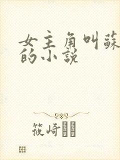 女主角叫苏若雪的小说