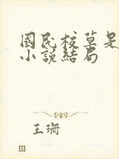 国民校草是女生小说结局