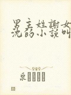 男主姓谢女主姓沈的小说叫什么名