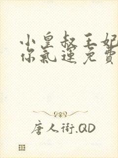 小皇叔王妃又薅你气运免费阅读全文