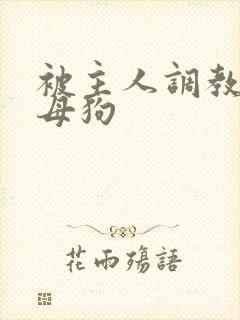 被主人调教的小母狗