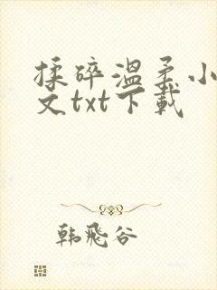 揉碎温柔小说全文txt下载封面