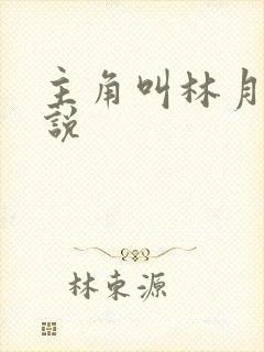 主角叫林月的小说