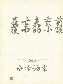 在亡夫灵前翻云覆雨的小说在线看