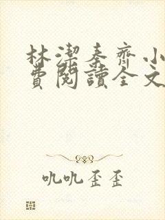 林洁秦齐小说免费阅读全文最新章节封面