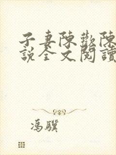 子妻陈欢陈欢小说全文阅读