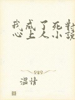 我成了死对头的心上人小说最新封面