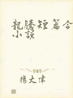 龙腾短篇合集的小说
