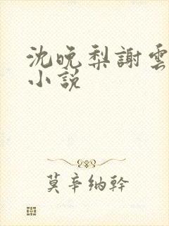 沈晚梨谢云迟的小说