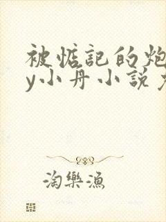 被惦记的炮灰by小舟小说免费阅读