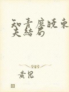 知青廖晓东的丈夫结局