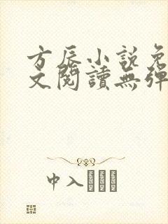 方辰小说免费全文阅读无弹窗封面